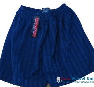 Navy Shadow Stripe P.E. Shorts