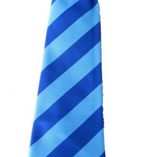 Audley School Tie