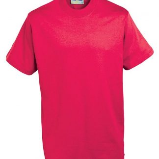 Embroidered Newton House T Shirts Red