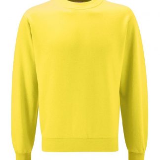 Lovelace House PE Sweatshirts Yellow